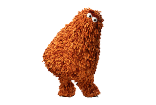 Meet the Microbe