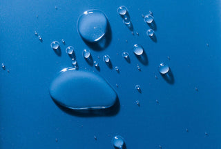 DEHYDRATION AND DANDRUFF – IS THERE A LINK?