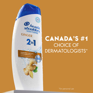 GINGER 2 IN 1 ANTI-DANDRUFF SHAMPOO AND CONDITIONER FOR DAILY USE, PARABEN FREE