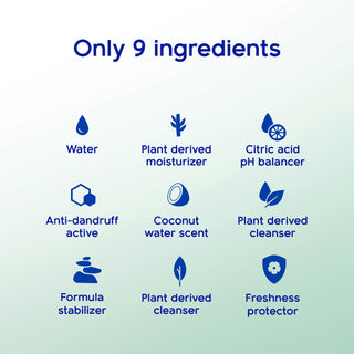 silicone free dandruff shampoo, sulfate free dandruff shampoo, dye free dandruff shampoo for oily hair
