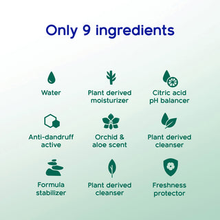 hydrating silicone free dandruff shampoo, sulfate free dandruff shampoo, dye free dandruff shampoo 