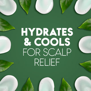 Hydrates & Cools