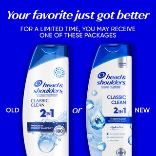 2 in 1 Classic Clean Dandruff Shampoo and Conditioner, 24/7 Dandruff Protection, with Zinc Pyrithione