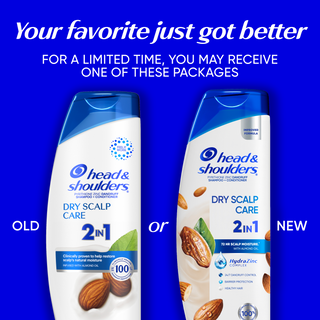 Dry Scalp Care Anti-Dandruff 2 in 1 Shampoo and Conditioner for Daily Use, Paraben Free