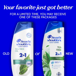Tea Tree Oil Anti-Dandruff 2 in 1 Dandruff Shampoo and Conditioner for Daily Use, Paraben Free