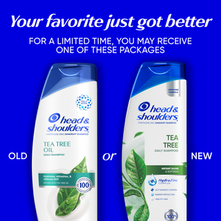 Tea Tree Oil Anti-Dandruff Shampoo for Daily Use, Paraben Free