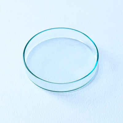in vitro